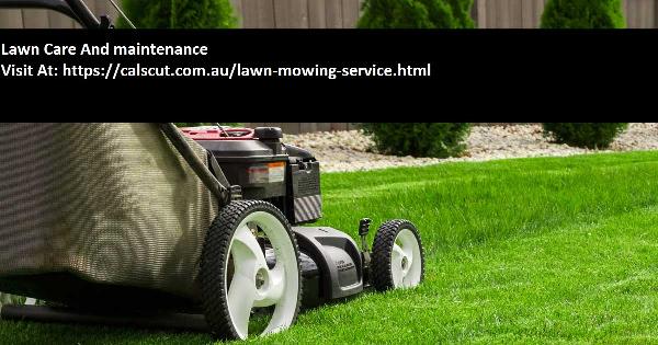 lawn and garden services