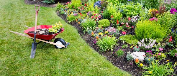lawn and garden services